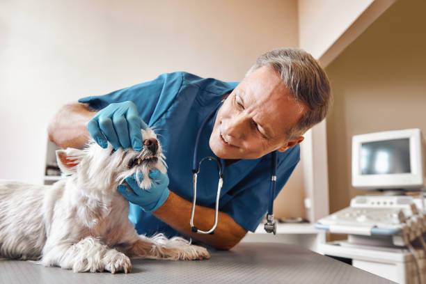 Best Emergency Treatment for Jaw Pain or Injury in Pea Ridge, FL
